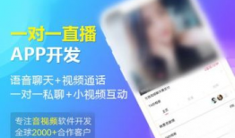 黄页视频,揭秘现代生活服务指南的全新面貌